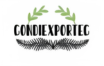 condiexportec.com